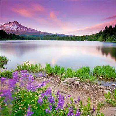 星空体育官方网站手机app下载