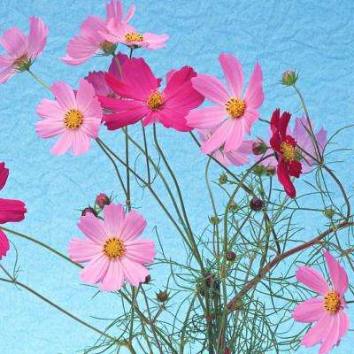 开元体育官网最新版